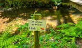 Excursión Senderismo Bièvre - Promenade de la Roche Mouselle - Petit-Fays - Photo 16