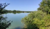 Tocht Stappen Heimsbrunn - Nord A 36 Burnhaupt retour  - Photo 1