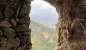 Tour Wandern Sorède - Notre dame d ultrera - Photo 7