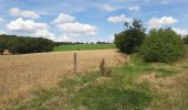 Trail Walking Dinant - FOY GPX BERLAGE - Photo 13