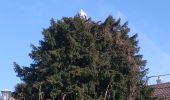 Tocht Stappen Sentheim - Knapphutte Saegenkopf Hütte - Photo 7