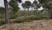 Trail Walking Cassis - cassis 04 03  2020 - Photo 1