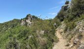 Trail Walking Quinson - Quinson Verdon 13 km - Photo 8