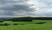 Trail Walking Theux - entre la ferme st Remacle et Hodbomont - Photo 18