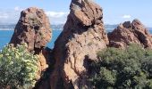 Excursión Senderismo Théoule-sur-Mer - Miramar, Notre dame d'Afrique ,la pointe de l'Aiguille - Photo 2