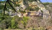 Tocht Stappen Castelnaud-la-Chapelle - Vézac 20,5km - Photo 3