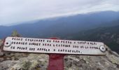 Trail Walking Moca-Croce - Monte San Petru - Photo 8