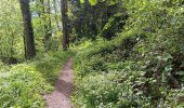 Trail Walking Esneux - autour du parc du Mary - variante  - Photo 16