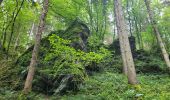 Tocht Stappen Gedinne - rando bourseigne vieille 15-06-2024 - Photo 8