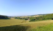 Trail Walking Sommeval - Sommeval Forêts Chemins - Photo 1