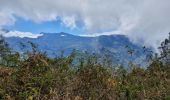 Randonnée Marche Saint-Louis - Tapage - Piton Cabris - La Fenêtre  - Photo 1