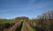 Trail Walking Soumagne - 20220223 - Soumagne Terrils 9 Km - Photo 19