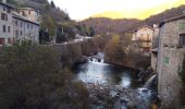 Trail Walking Burzet - Burzet (Myrtille) - Photo 2