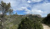 Tour Wandern Saint-Rémy-de-Provence - PF-Saint Rémy de Provence - Lac du Peiroou - La Caume - Photo 13