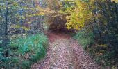 Trail Walking Marchaux-Chaudefontaine - Chaudefontaine - Photo 7