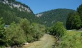 Tour Zu Fuß Gemeinde Göstling an der Ybbs - Rundwanderweg 6 - Photo 8