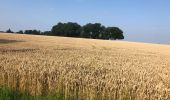 Randonnée Vélo Landen - Wikiloc: Neerlanden-CrasAvernas-Les Waleffes-Rosoux (PVDB) - Photo 1