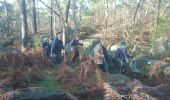 Trail Walking Fontainebleau - rocher d'Avon 13 janvier 2023  - Photo 12