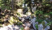 Tocht Stappen Autrans-Méaudre en Vercors - la Buffe - Photo 5