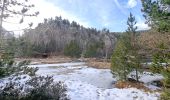 Tour Wandern Les Angles - Lac de Balcère - Photo 11