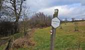 Trail Walking Lierneux - A la découverte de Lierneux 🥾 - Photo 4