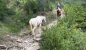 Tocht Paardrijden Valle de Hecho - Siresa - Anso  - Photo 19