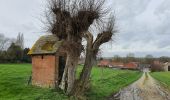 Tocht Stappen Leuze-en-Hainaut - ADEPS - Willaupuis - Photo 2