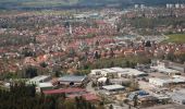 Tocht Te voet Wangen im Allgäu - Wanderweg 1 Wangen im Allgäu - Photo 5