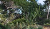Randonnée Marche Antibes - Randonnée Marche Antibes -