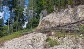 Tocht Stappen Charix - lac de genin - bretouze /  retour - Photo 10