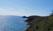 Tour Wandern Ramatuelle - Cap Taillat  et Cap Lardier - Photo 3