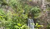 Trail Walking Cauterets - Sentier du Lisey - Photo 6