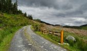 Trail On foot Westport-Belmullet Municipal District - Botky Teep - Photo 10