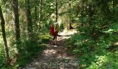 Trail Walking Bellefontaine - GTJ Etape 16 :  Bellefontaine - Les Rousses - Photo 1