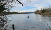 Tour Wandern Fréjus - étangs de Villepey - Photo 14