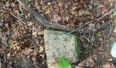 Trail Walking Wildenstein - dernier acte  - Photo 1