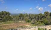 Tour Wandern Assas - Assas et forêt - Photo 14