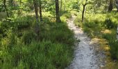 Tour Wandern Milly-la-Forêt - Milly-la-Forêt - Forêt domaniale des Trois pignons - Curiosités  - Photo 14