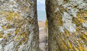 Tour Wandern Quiberon - Pointe de la presqu’île de Quiberon - Photo 3