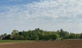 Tour Wandern Anderlecht - Campagne Anderlechtoise  - Photo 9