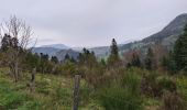 Randonnée Marche Saint-Sauves-d'Auvergne - Chalannes-stéle-charbonniere - Photo 11