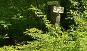 Trail Walking Villers-Cotterêts - maison forestière de mortefert > (vers) billemont > (vers) villers cotteret - (vers) baisemont > maison forestière de mortefert - Photo 17