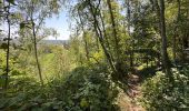 Tour Wandern Charleroi - Gr1666 1ere Roux -Montignie sur Sambre 26 km - Photo 3