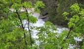 Trail Walking Jausiers - cascadede pissoun 24 06 2024 - Photo 5