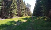 Trail Walking Dienne - Lac de Sauvage - Photo 4