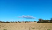 Trail Walking Leucate - leucate . franki plage . leucate - variante - Photo 2