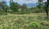 Tocht Stappen Villes-sur-Auzon - Contreforts du ventoux  - Photo 11