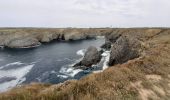 Excursión Senderismo Sauzon - pointe des poulains - Photo 2