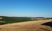 Tocht Stappen Montigny-en-Morvan - Montigny en Morvan  - Photo 4