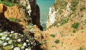 Excursión Senderismo Le Tilleul - Camping Antijune_Étretat retour Bénouville - Photo 10